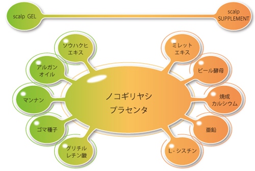 フェルサ全成分